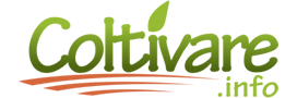 Coltivare.info Logo